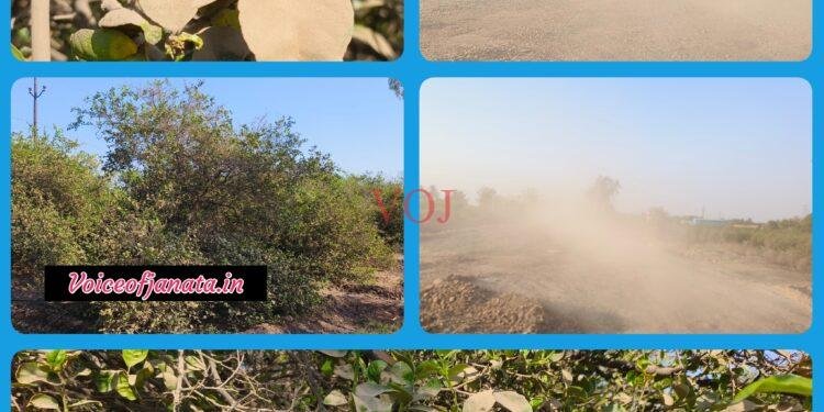 ಅಯ್ಯೋ ಅಯ್ಯಯ್ಯೋ.. ಏನು ಧೂಳು, ಏನು ಗೋಳು..! ಭೀಮೆಯ ಗಡಿಭಾಗದಲ್ಲಿ ಕೇಳವರಾರು..?