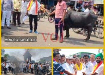 ಇಂಡಿ | ತೊಗರಿ ಬೆಳೆ ಪರಿಹಾರ ಆಗ್ರಹಿಸಿ ರಾಜ್ಯ ಹೆದ್ದಾರಿ ತಡೆದು ಕರವೇ ಪ್ರತಿಭಟನೆ 