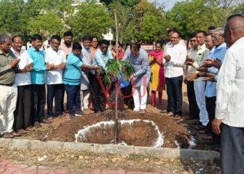 “ಅಮೃತ ಮಿತ್ರ” ಯೋಜನೆಗೆ ಚಾಲನೆ, ಹಳ್ಳಿ ಹಳ್ಳಿಗಳಲ್ಲಿ ಹಸಿರು ಉಳಿಸುವ ಕೆಲಸ ನಡೆಯಲಿ: ಶಾಸಕ ನಾಡಗೌಡ