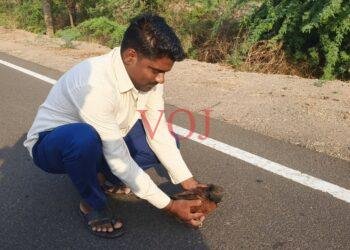 ಅಪಾಯದಲ್ಲಿದ್ದ ಅದೃಷ್ಟ ಪಕ್ಷಿಗೆ ಸಕಾಲದಲ್ಲಿ ನೆರವಾದ ಯುವಕ ಚಂದ್ರು