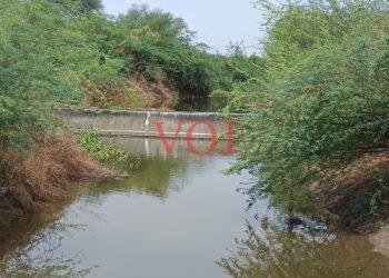 ಇಂಡಿ | ಕಾಲುವೆ ನೀರು : ಎಲ್ಲ ಹಳ್ಳ, ಕೆರೆ ಭರ್ತಿ