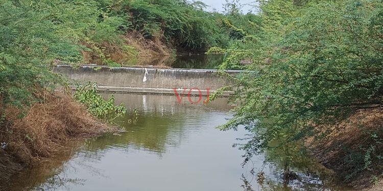 ಇಂಡಿ | ಕಾಲುವೆ ನೀರು : ಎಲ್ಲ ಹಳ್ಳ, ಕೆರೆ ಭರ್ತಿ