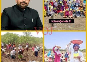 ನರೇಗಾ ಕೂಲಿಕಾರ್ಮಿಕರಿಗೆ ನಿರಂತರವಾಗಿ ಉದ್ಯೋಗ ಕಲ್ಪಿಸಲಾಗುತ್ತಿದೆ