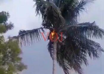 ಮುದ್ದೇಬಿಹಾಳ | ಸಿಡಿಲು ಬಡಿದು ಬೆಂಕಿ ಜ್ವಾಲೆ..!