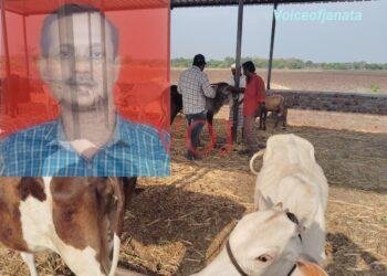 ಆಕಸ್ಮಿಕವಾಗಿ ಮೃತಪಟ್ಟ ಜಾರುವಾರುಗಳಿಗೆ ಸರಕಾರದಿಂದ ಪರಿಹಾರ