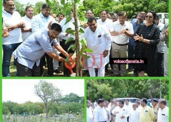 ಜಿಲ್ಲಾ ಪಂಚಾಯತ್ ಆವರಣದಲ್ಲಿ ಸಸಿ ನೆಡುವ ಕಾರ್ಯಕ್ರಮಕ್ಕೆ ಸಚಿವರಿಂದ ಚಾಲನೆ