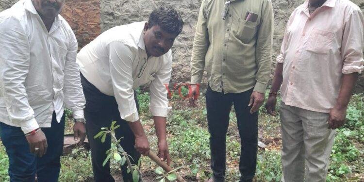 ವಾರ್ತಾ ಮತ್ತು ಸಾರ್ವಜನಿಕ ಸಂಪರ್ಕ ಇಲಾಖೆ ಕಚೇರಿಯಲ್ಲಿ ಸಸಿ ನೆಡುವ ಕಾರ್ಯಕ್ರಮ