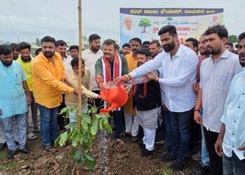 ವಿಜಯಪುರ | 1001 ಸಸಿ ನೆಡುವ ಪರಿಸರಮುಖಿ ಕಾರ್ಯಕ್ರಮ