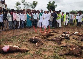 ರೈತನಿಗೆ ಪರಿಹಾರ ಸಿಗದಿದ್ದರೆ ಹೋರಾಟದ ಎಚ್ಚರಿಕೆ: ಬೇಜವಾಬ್ಧಾರಿ ಅಧಿಕಾರಿಗಳಿಗೆ ಬಿಸಿ ಮುಟ್ಟಿಸಿದ ನಡಹಳ್ಳಿ