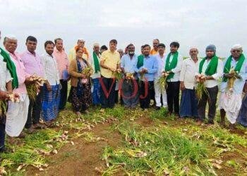 ಕಳಪೆ ಮಟ್ಟದ ಈರುಳ್ಳಿ ಬೀಜದಿಂದಾಗಿ ನಷ್ಟಗೊಂಡ ರೈತ ಕುಟುಂಬಕ್ಕೆ ಪರಿಹಾರ ನೀಡಲು ಒತ್ತಾಯ