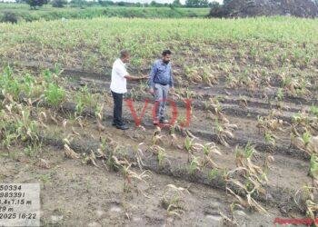 ಸರಕಾರದ ಸವಲತ್ತುಗಳಿಗೆ ಬೆಳೆ ಸಮೀಕ್ಷೆ ಕಡ್ಡಾಯ