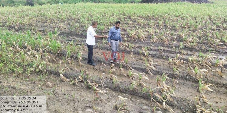 ಸರಕಾರದ ಸವಲತ್ತುಗಳಿಗೆ ಬೆಳೆ ಸಮೀಕ್ಷೆ ಕಡ್ಡಾಯ