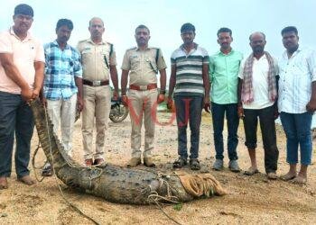 ಕೇಸಾಪೂರ ಗ್ರಾಮದ ರೈತನ ಹೊಲದಲ್ಲಿ ಮೊಸಳೆ ರೈತರಲ್ಲಿ ಆತಂಕ..!