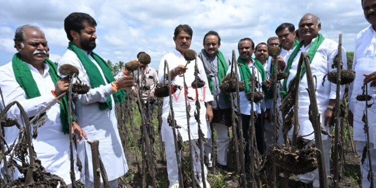 ಮಳೆ ಹಾಗೂ ಪ್ರವಾಹದ ಸಂಕಷ್ಟಕ್ಕೆ ಸಿಲುಕಿದ ರೈತರಿಗೆ ಸ್ಪಂದಿಸದ ಸರಕಾರ ಕೋಮಾದಲ್ಲಿದ್ದಂತೆ..!