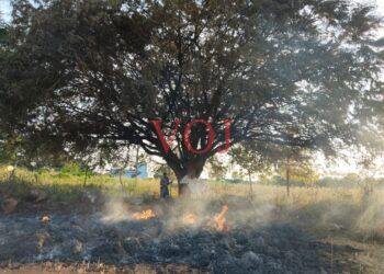 ಒಕ್ಕಣೆ ಕಣದಲ್ಲಿ ಹಾಕಲಾಗಿದ್ದ ರಾಗಿ ಫಸಲಿಗೆ ಬೆಂಕಿ