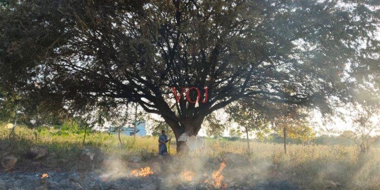 ಒಕ್ಕಣೆ ಕಣದಲ್ಲಿ ಹಾಕಲಾಗಿದ್ದ ರಾಗಿ ಫಸಲಿಗೆ ಬೆಂಕಿ