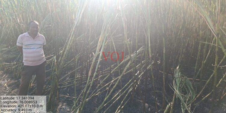 ಇಂಡಿಯಲ್ಲಿ ಕಬ್ಬು ಸುಟ್ಟು ಕರಕಲು..!