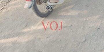 ಇಂಡಿಯಲ್ಲಿ ಸಿನಿಮಿಯ ರೀತಿಯಲ್ಲಿ ಕುರಿ ಕದ್ದ ಕಳ್ಳರನ್ನು ಚೆಸ್ ಮಾಡಿದ ಅನ್ನದಾತ..!