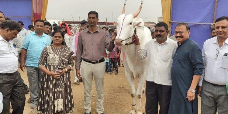 ಜಾನುವಾರು ಜಾತ್ರೆ: ತೊರವಿಗೆ ಭೇಟಿ ನೀಡಿ ಪರಿಶೀಲನೆ ನಡೆಸಿದ ಜಿಲ್ಲಾಧಿಕಾರಿ ಡಾ.ಆನಂದ ಕೆ