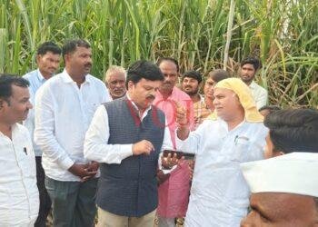 ಎಕರೆಗೆ 172 ಟನ್ ಕಬ್ಬು ಬೆಳೆದ ಲಚ್ಯಾಣ ಗ್ರಾಮದ ರೈತ ಶ್ರೀಮಂತ ಇಂಡಿ