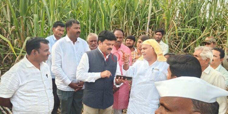 ಎಕರೆಗೆ 172 ಟನ್ ಕಬ್ಬು ಬೆಳೆದ ಲಚ್ಯಾಣ ಗ್ರಾಮದ ರೈತ ಶ್ರೀಮಂತ ಇಂಡಿ