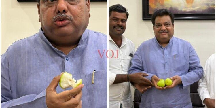 ಬಾರೆ ಹಣ್ಣು ಬೆಳೆದು ಭಾರಿ ಲಾಭಗಳಿಸಿದ ಬಸವನಾಡಿನ ರೈತ!