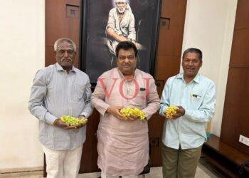 ಕ್ಯಾಲಿಫೋರ್ನಿಯಾ ಕನಸು ಸಾಕಾರ: ವಿಜಯಪುರದಲ್ಲಿ ದ್ರಾಕ್ಷಿ ಕ್ರಾಂತಿ!