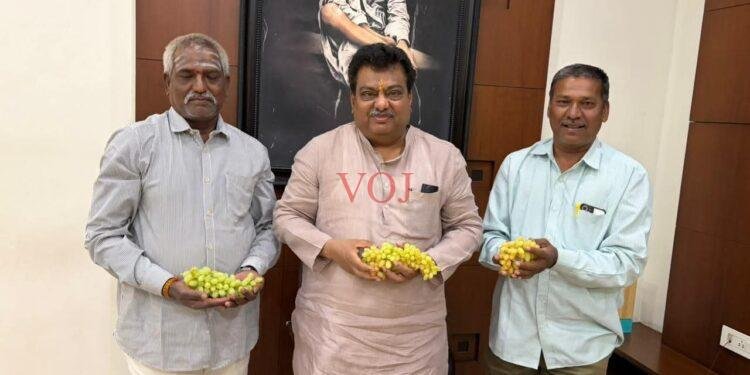 ಕ್ಯಾಲಿಫೋರ್ನಿಯಾ ಕನಸು ಸಾಕಾರ: ವಿಜಯಪುರದಲ್ಲಿ ದ್ರಾಕ್ಷಿ ಕ್ರಾಂತಿ!