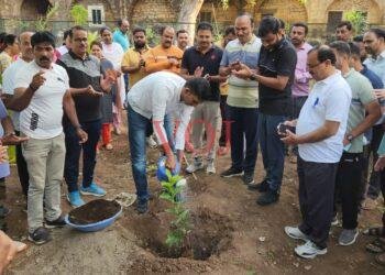 ಸ್ವಚ್ಛತಾ ಕಾರ್ಯ, ಸಸಿ ನೆಡುವ ಮೂಲಕ ಪರಿಸರ ಸಂರಕ್ಷಣೆಗೆ ಜಿಲ್ಲಾಧಿಕಾರಿ ಕರೆ