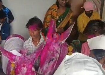 ಮಳೆಗಾಗಿ ಕತ್ತೆಗಳ ಅದ್ದೂರಿ ಮದುವೆ..ಎಲ್ಲಿ..? ಹೇಗೆ..?